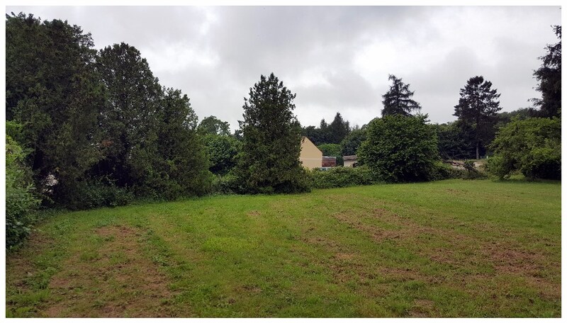 Terrain