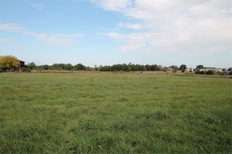 Terrain