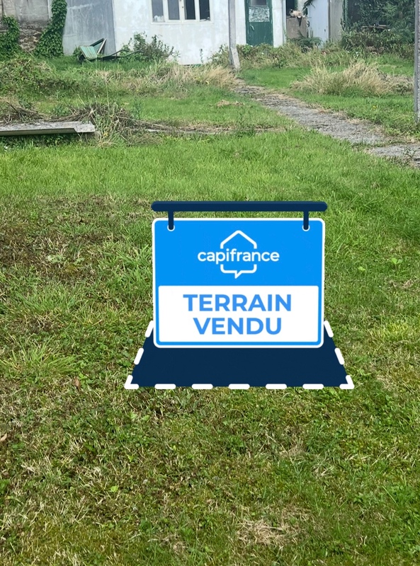 Terrain