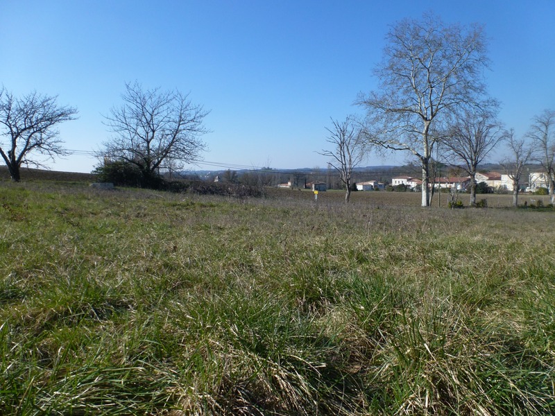 Terrain
