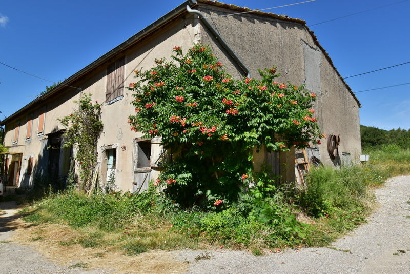 Propriété