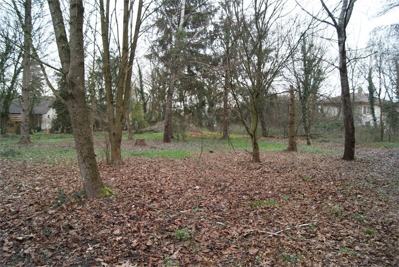 Terrain