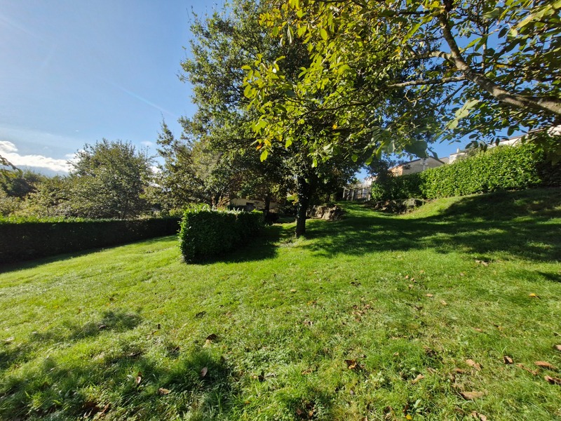 Terrain
