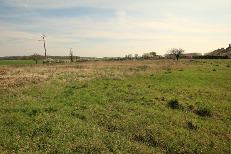Terrain