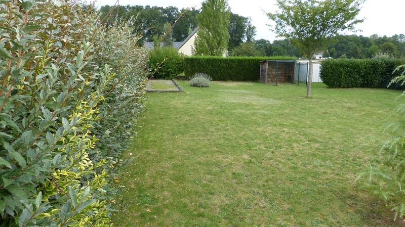Terrain