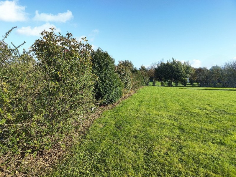 Terrain
