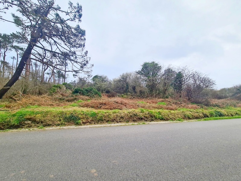 Terrain