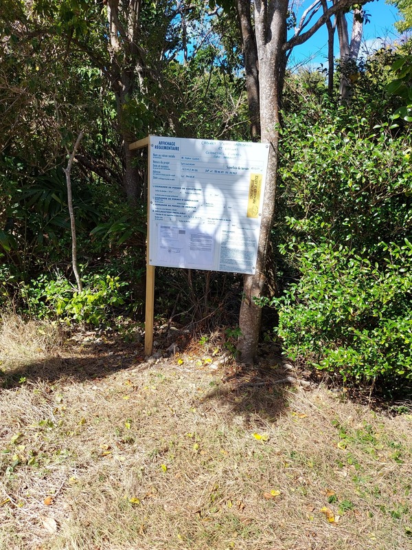 Terrain