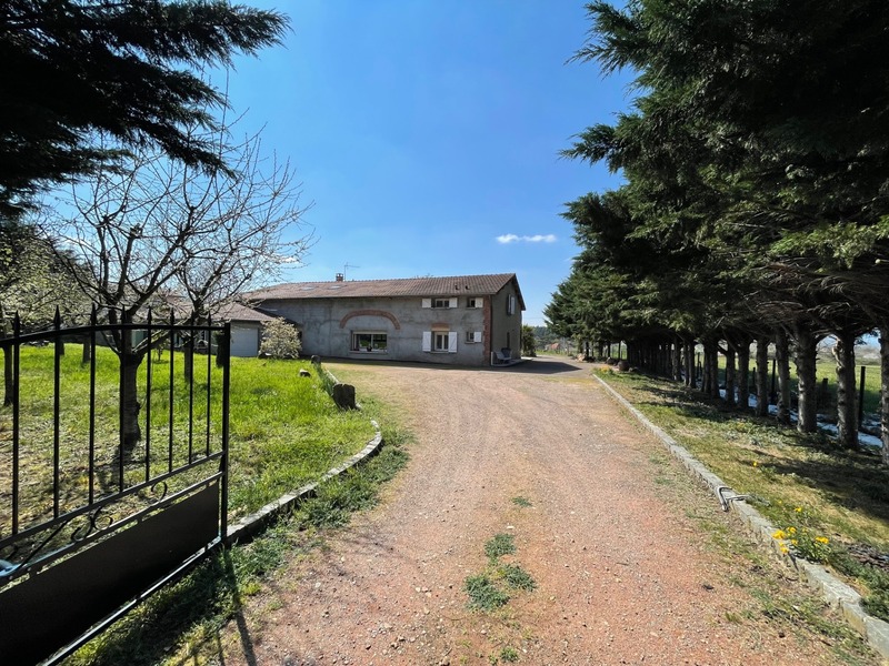 Maison