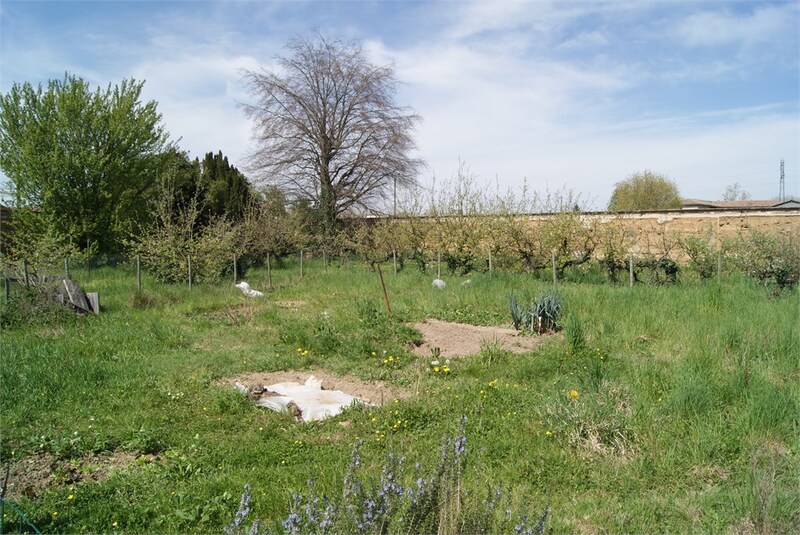 Terrain
