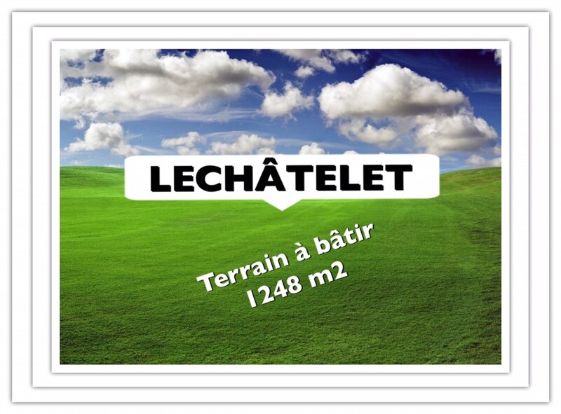 Terrain