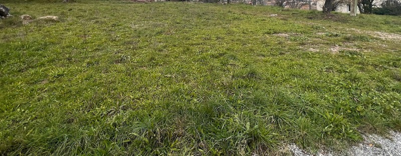 Terrain