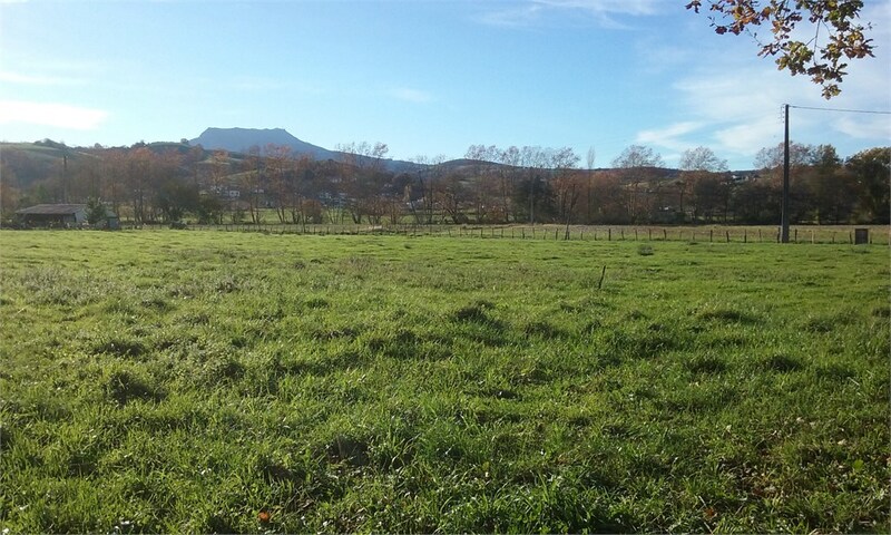 Terrain