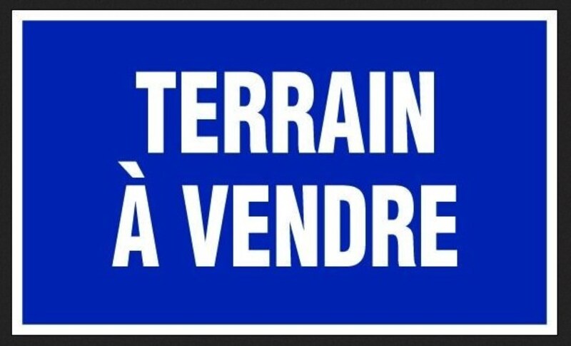 Terrain