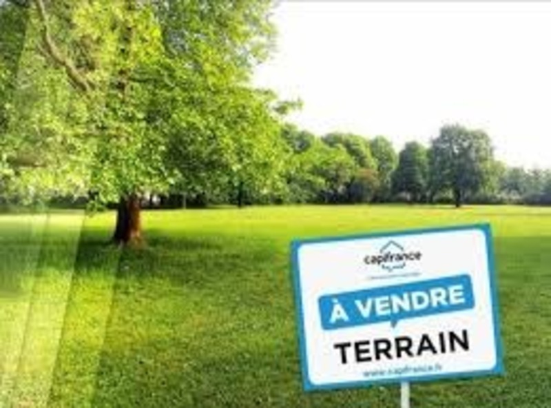 Terrain
