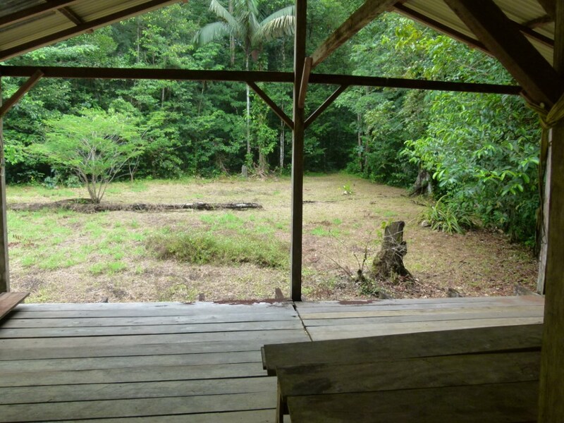 Terrain