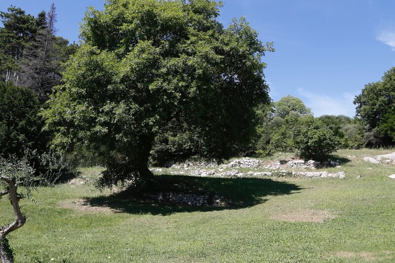 Terrain