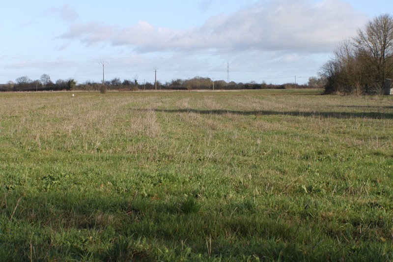 Terrain