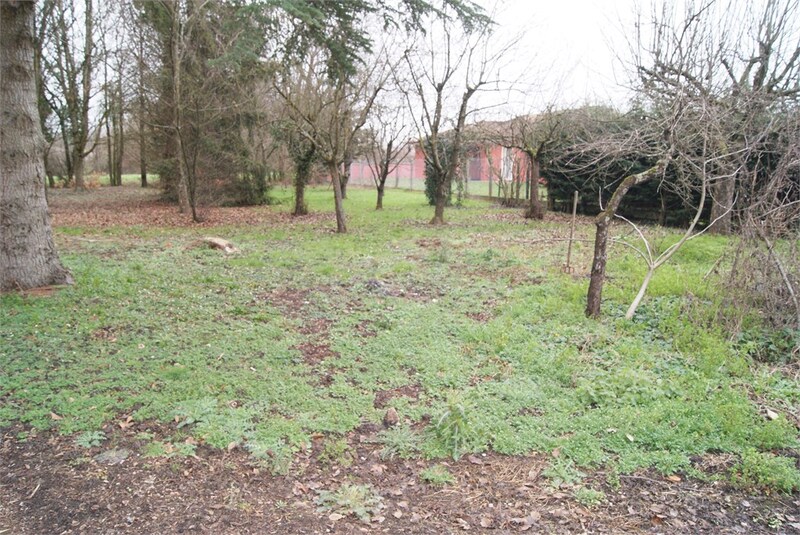 Terrain
