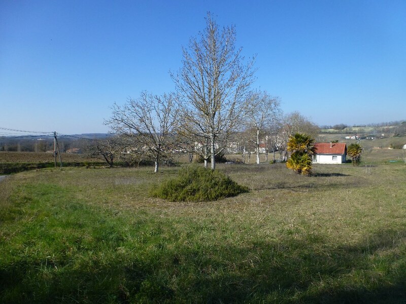 Terrain