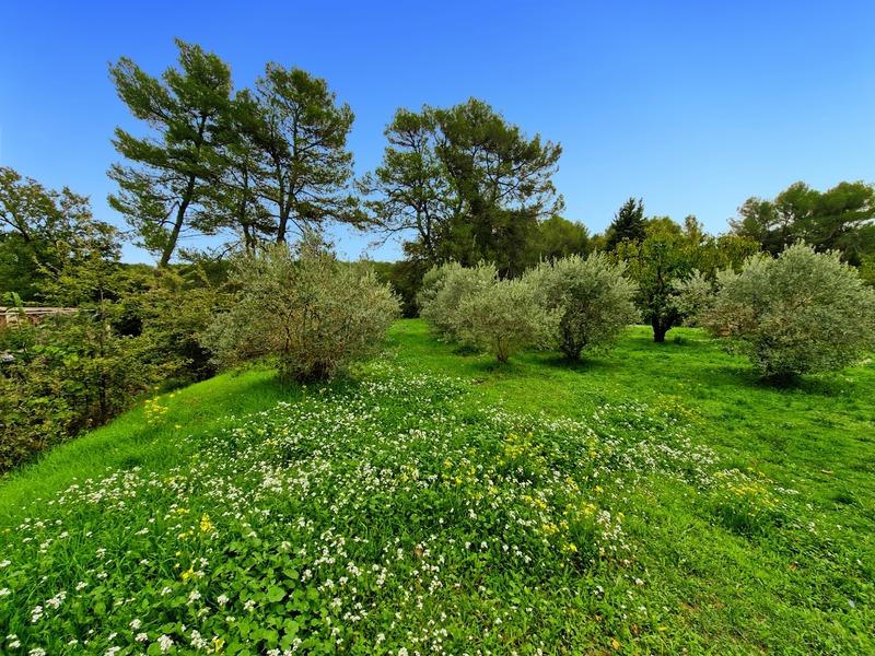 Terrain