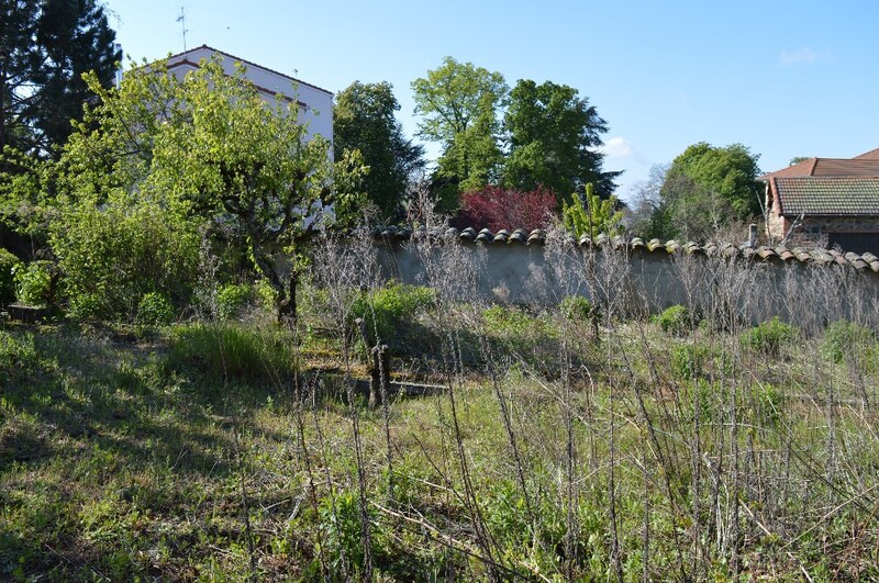 Terrain