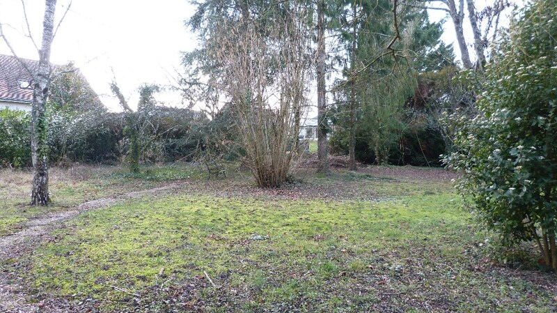 Terrain