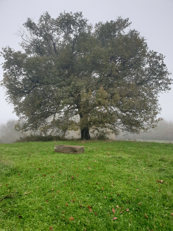 Propriété