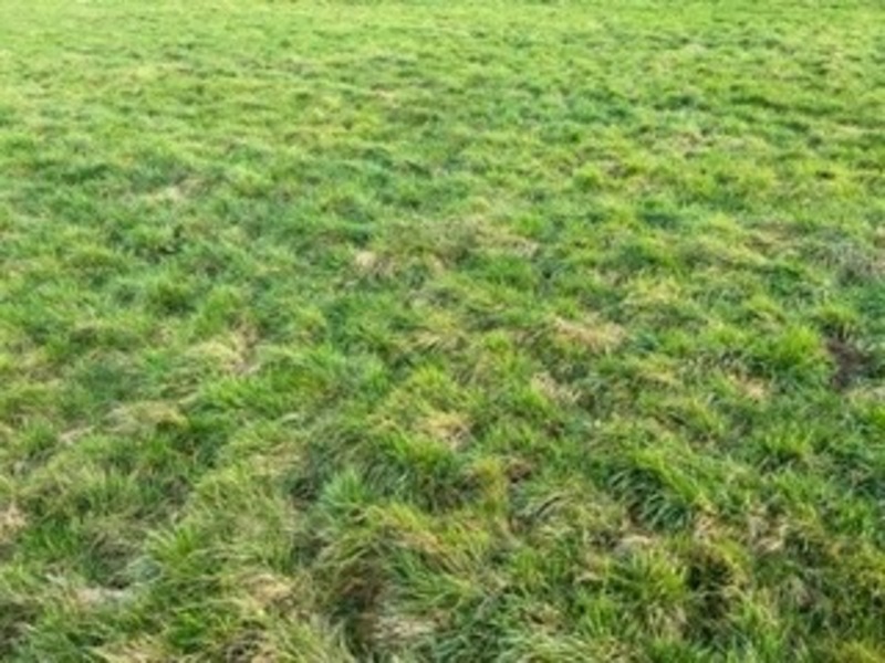 Land