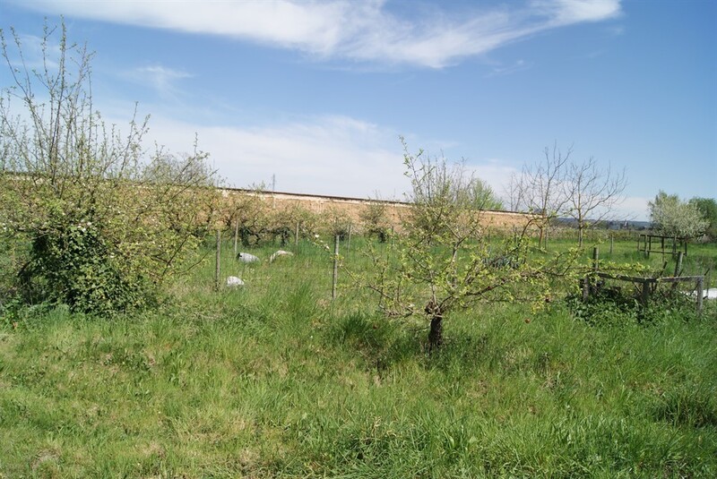 Terrain