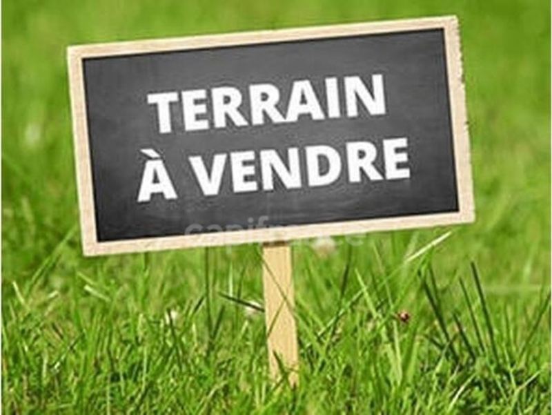 Terrain