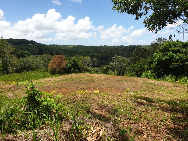 Terrain