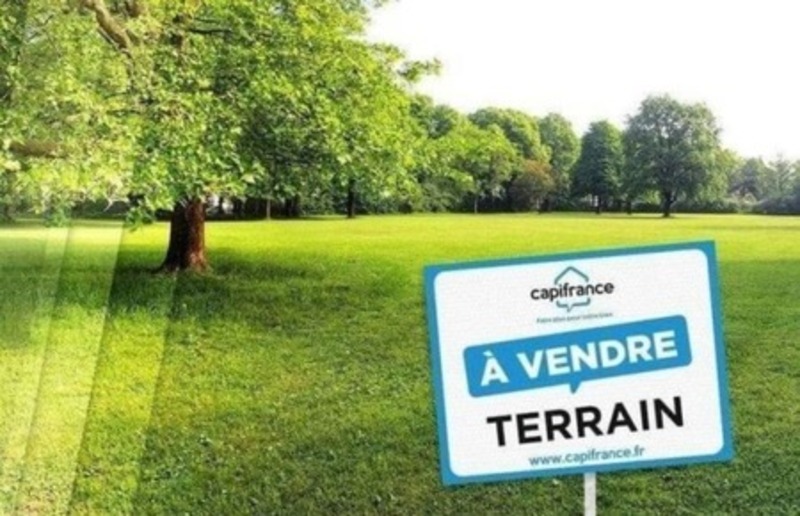 Terrain