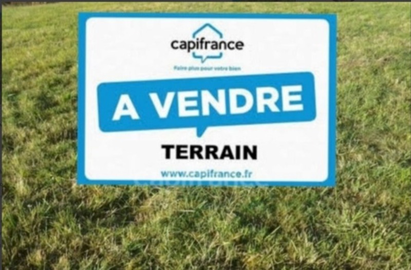 Terrain