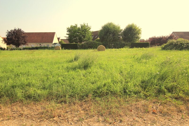 Terrain