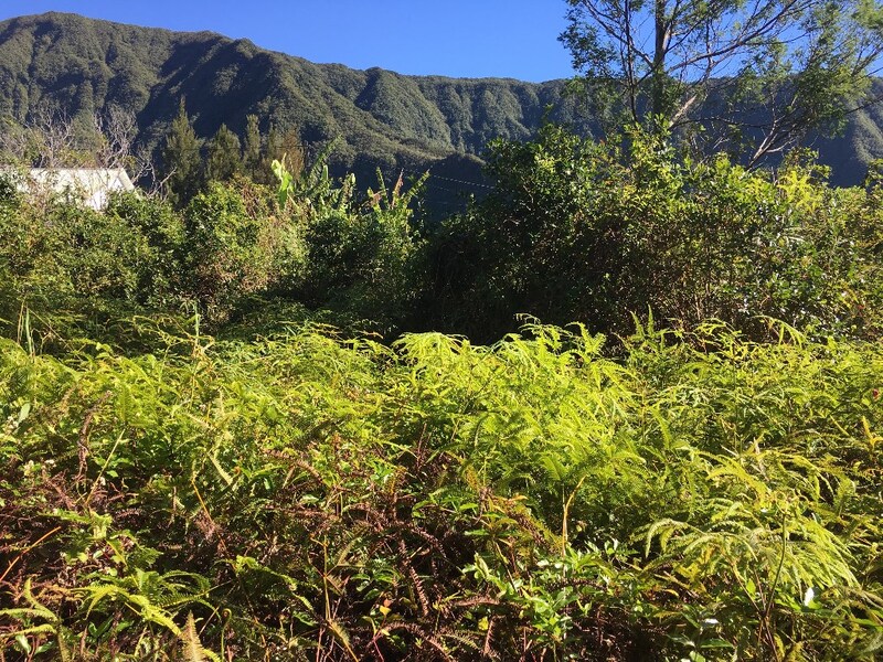Terrain