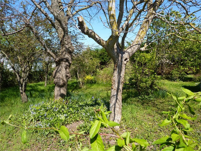Terrain