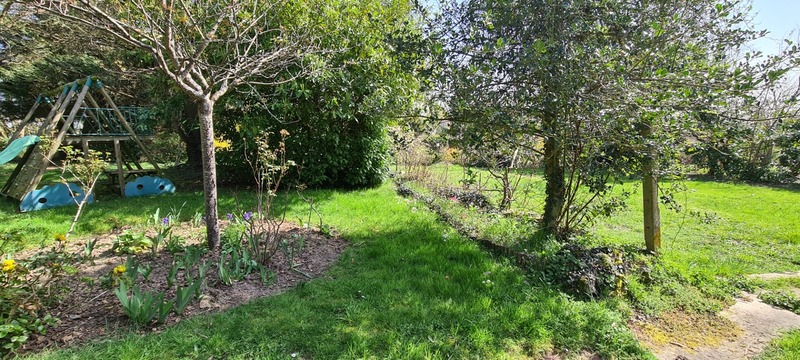 Terrain