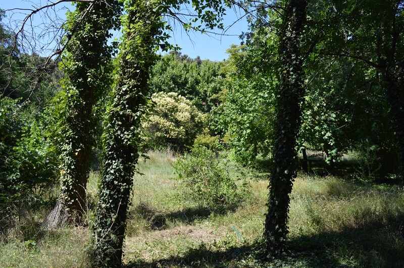 Terrain