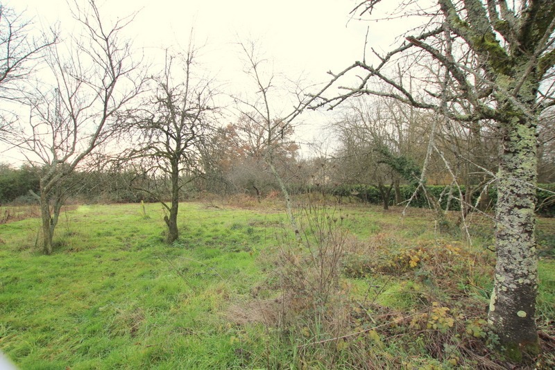 Terrain