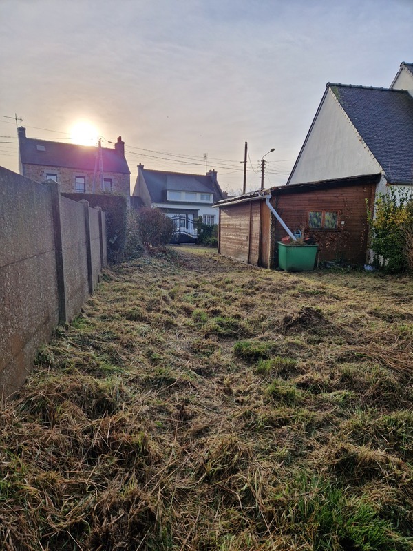 Terrain