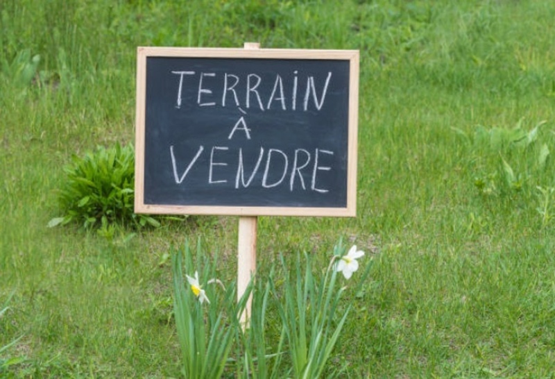 Terrain
