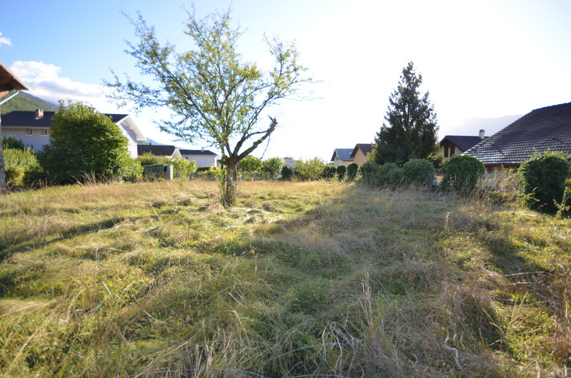 Terrain