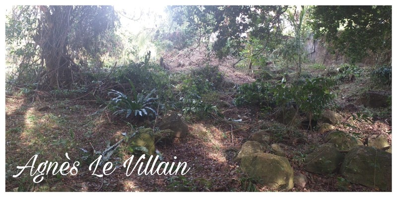Terrain