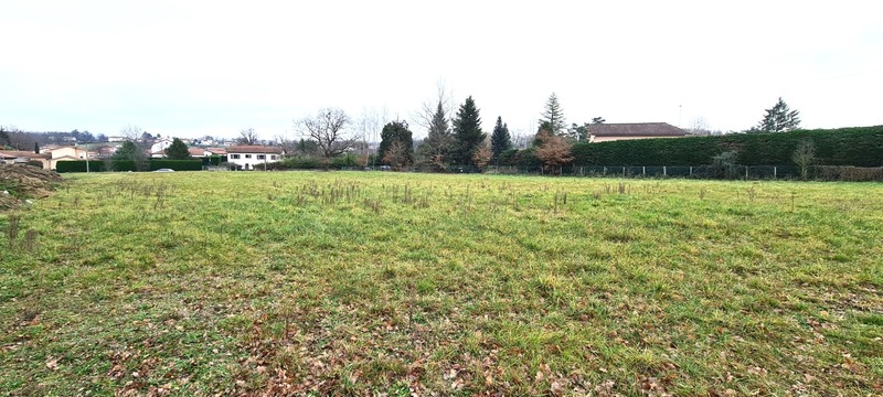 Terrain
