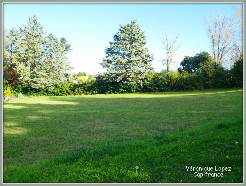 Terrain