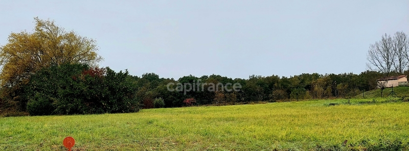 Terrain
