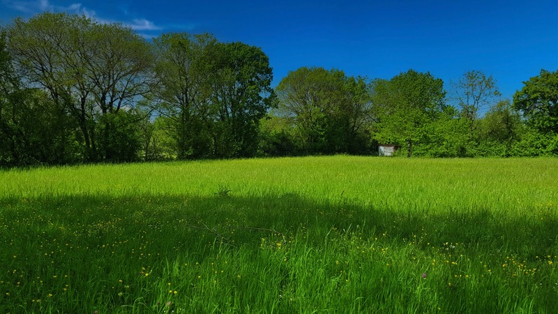 Terrain