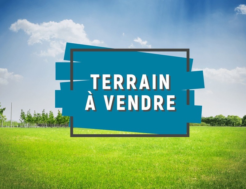 Terrain