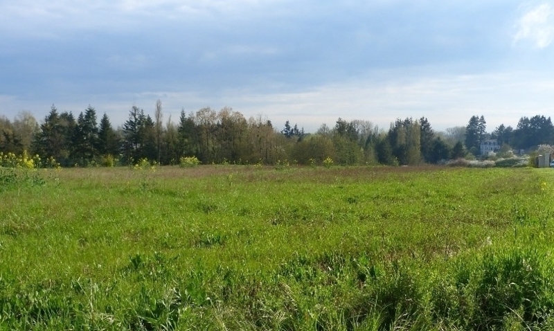 Terrain